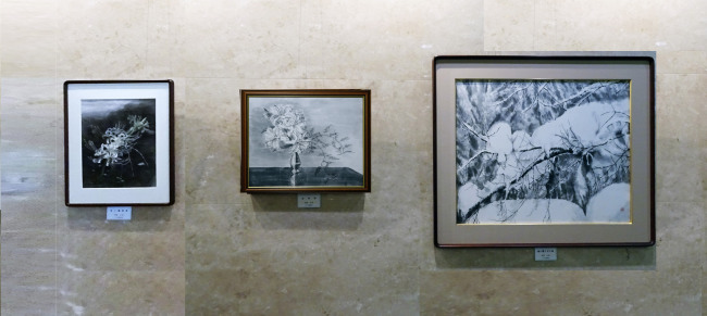 清流の里展202311＿9