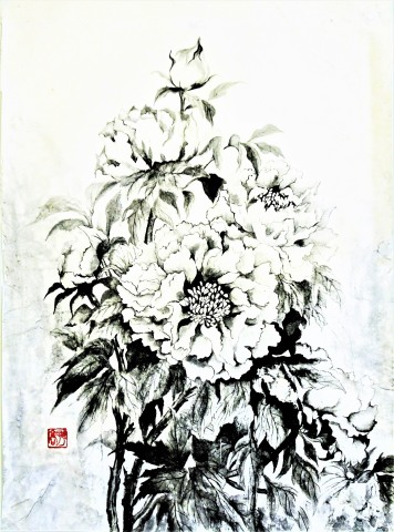 51「牡丹・壮麗」P8　花展6
