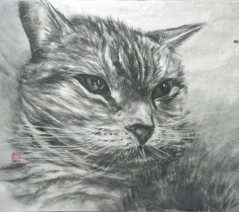 優秀賞受賞　「雄視」　10号