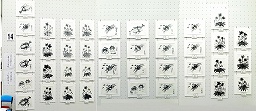 2020　第59回現水展　（夢の丘小）